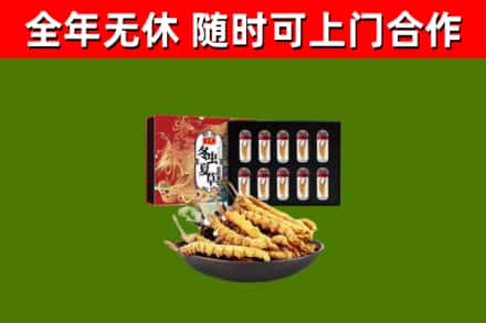西秀区烟酒回收冬虫夏草礼盒.jpg